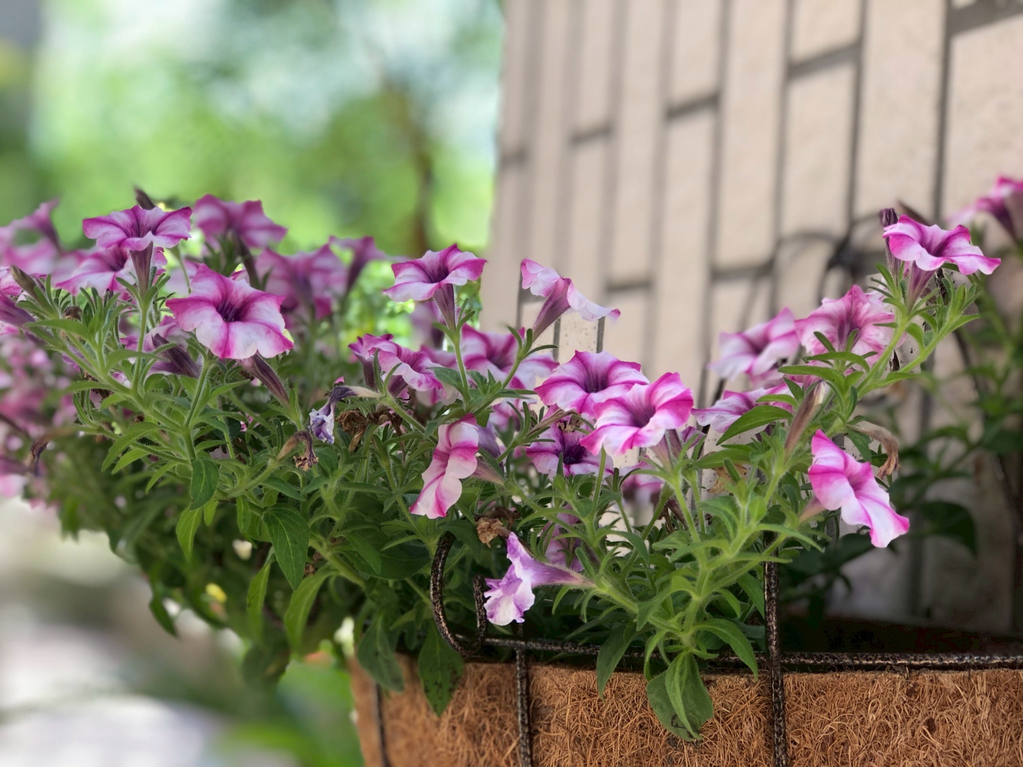 每年每季捐贈報告書