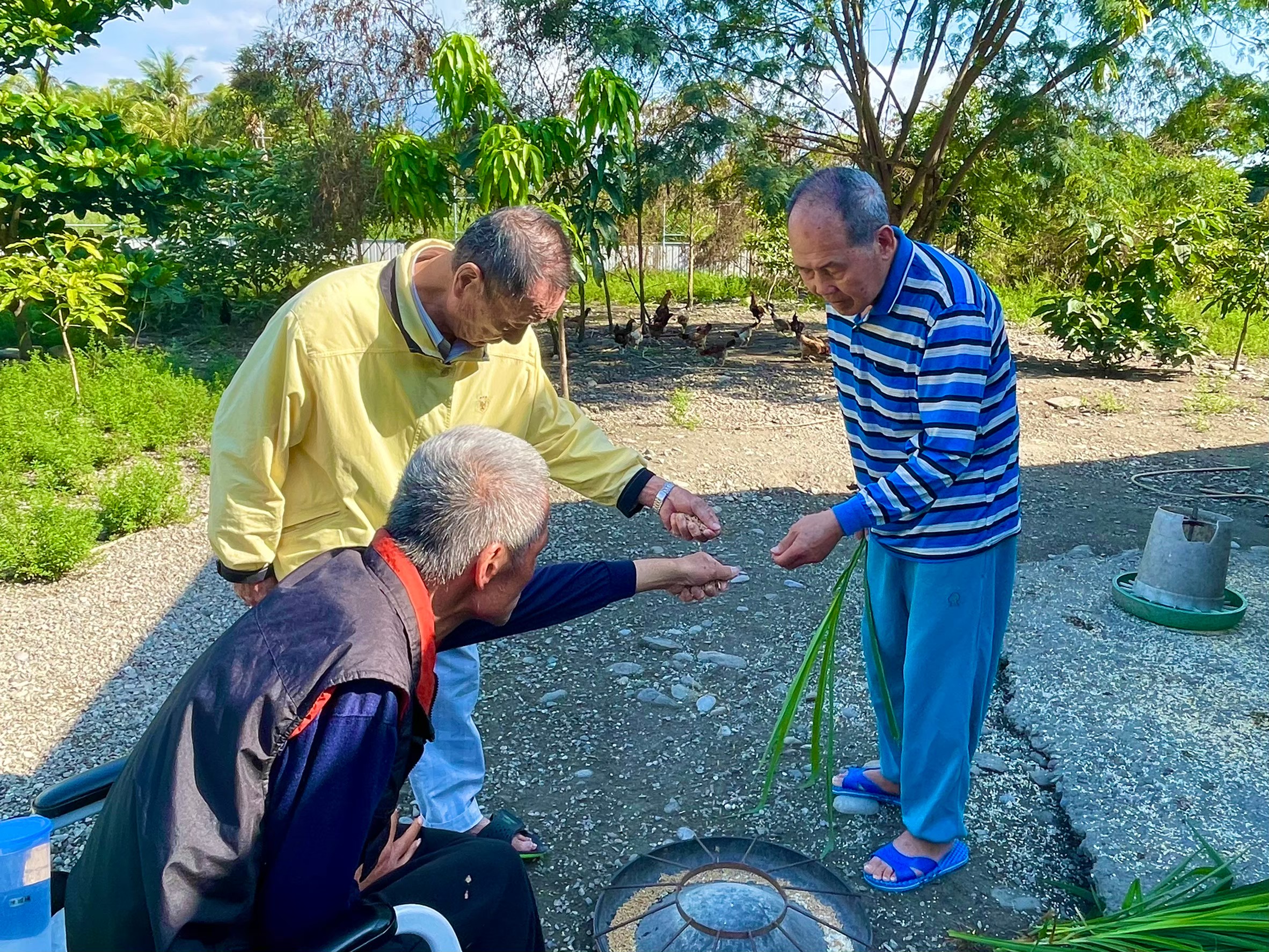 前院住民戶外自然互動活動