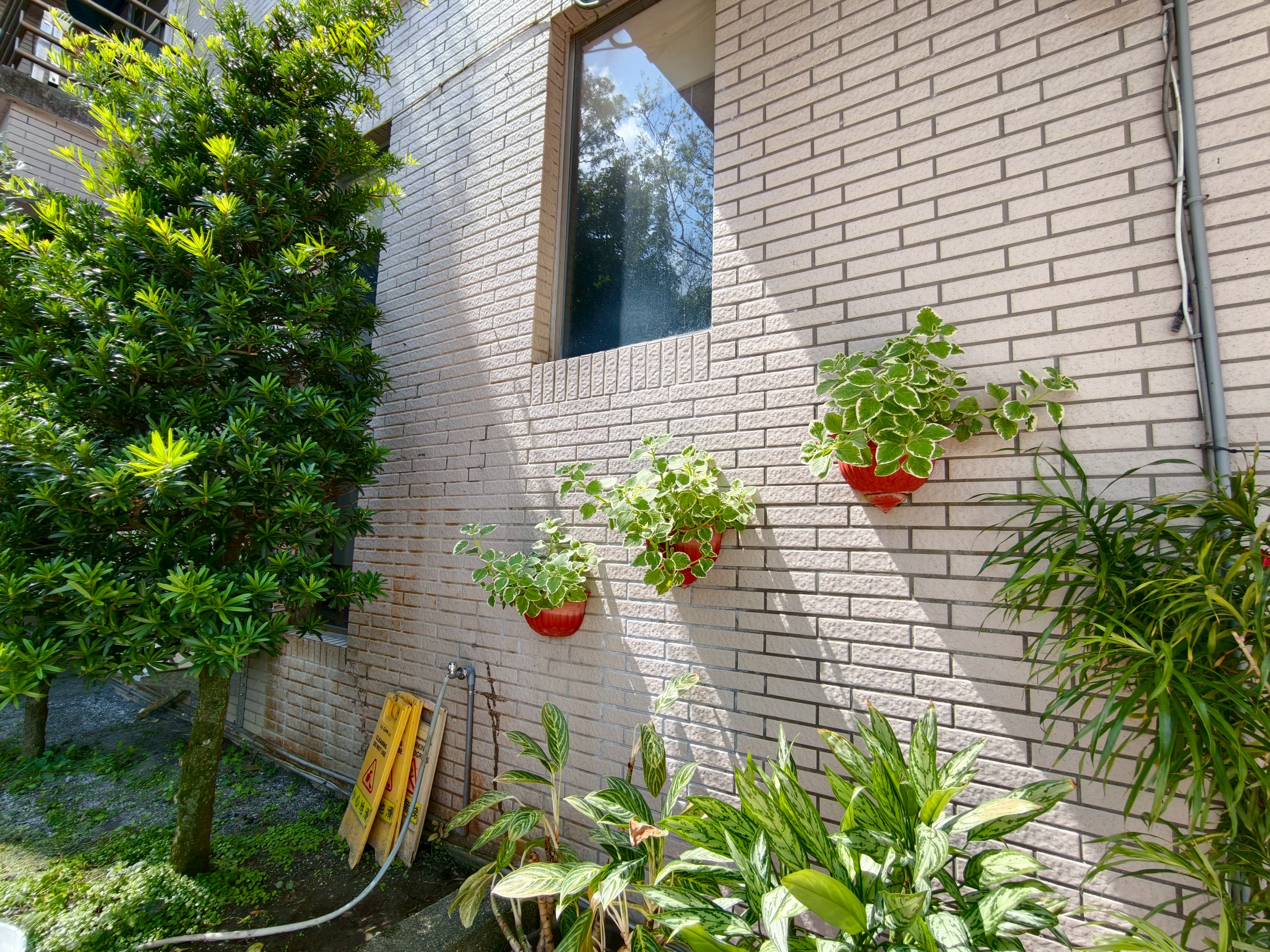 IMG_20260318_110254.jpg